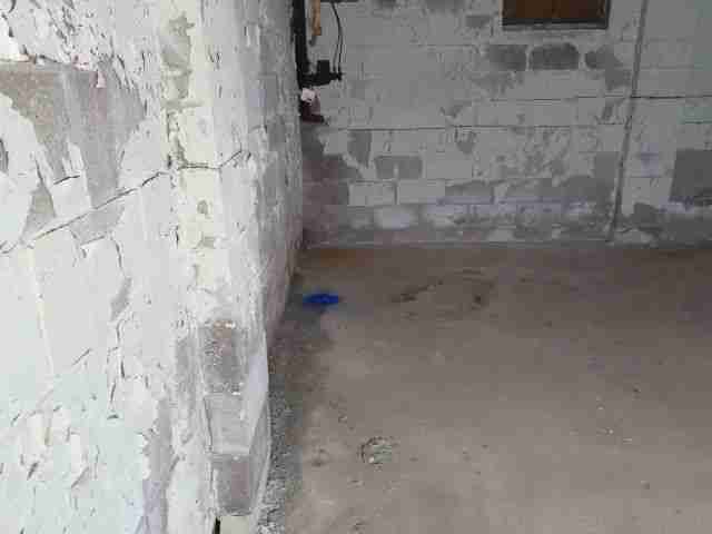 Testing again(47).jpg